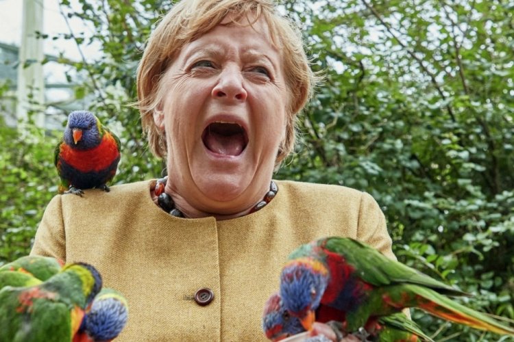 Almanya Başbakanı Merkel kuş parkını ziyaret etti