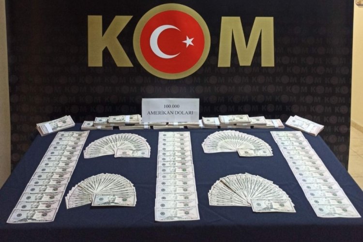 Sakarya'da 100 bin sahte doları piyasaya s&uuml;r&uuml;lmek &uuml;zereyken yakalandı