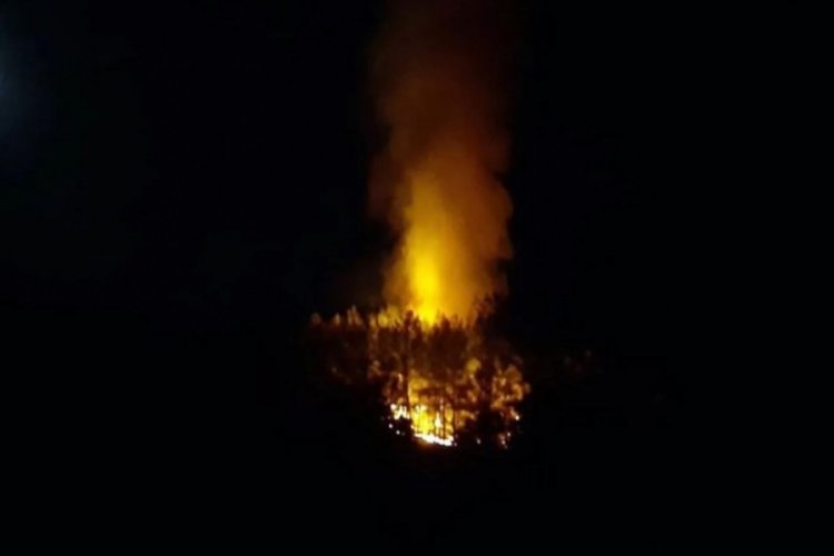 Muğla'da korkutan orman yangını!