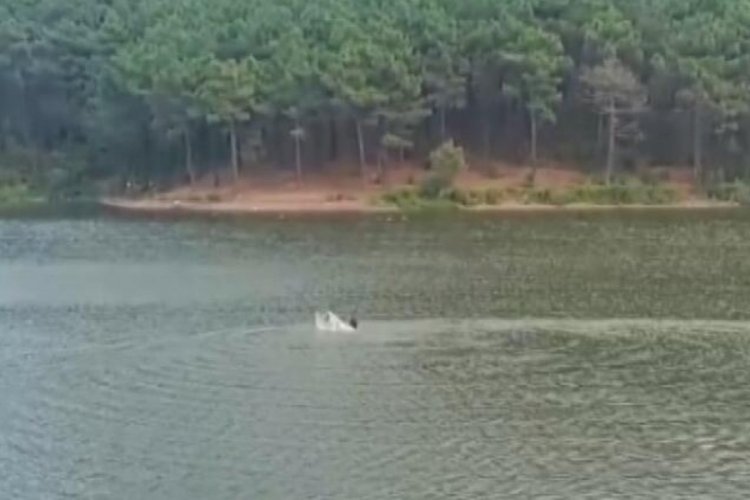 Aydos Ormanı'ndaki g&ouml;lette kaybolan kişinin son g&ouml;r&uuml;nt&uuml;leri ortaya &ccedil;ıktı!