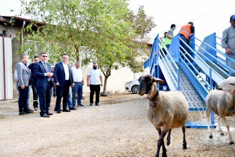 Bursa'da mobil koyun banyosu &ccedil;obanların ve koyunların hizmetinde