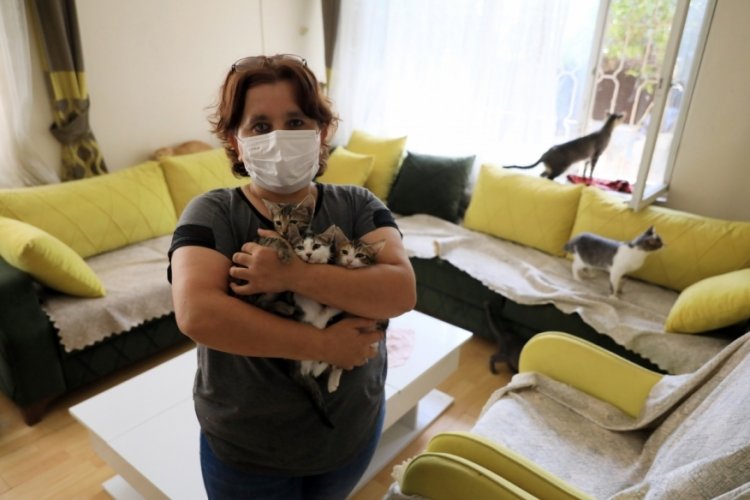 Antalya'da emekli maaşını kedilere harcadı, icralık oldu!