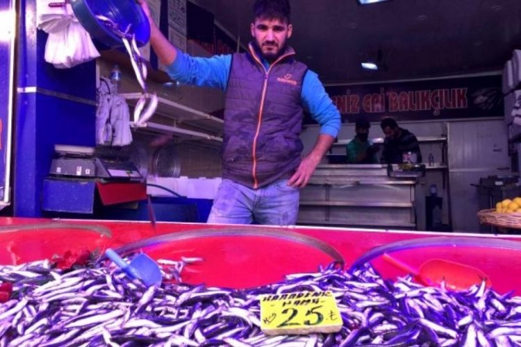 Hamsi fiyatları d&uuml;şt&uuml;