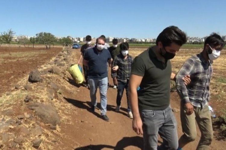 Şanlıurfa Siverek'te 17 d&uuml;zensiz g&ouml;&ccedil;men yakalandı