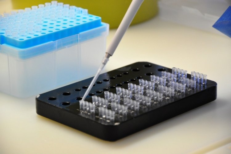 Sinovac ve Biontech aşısının karşılaştırmalı araştırma sonuçları açıklandı
