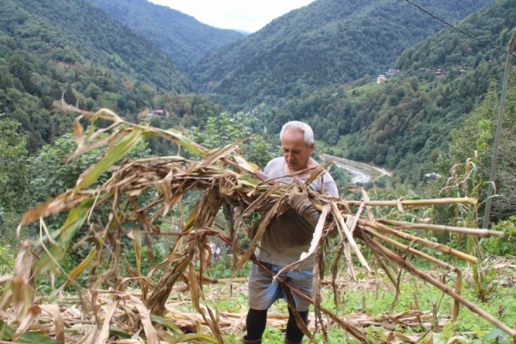 Myanmar'a gidemeyen b&uuml;y&uuml;kel&ccedil;i, Rize'de bah&ccedil;e işleri yapıyor&nbsp;