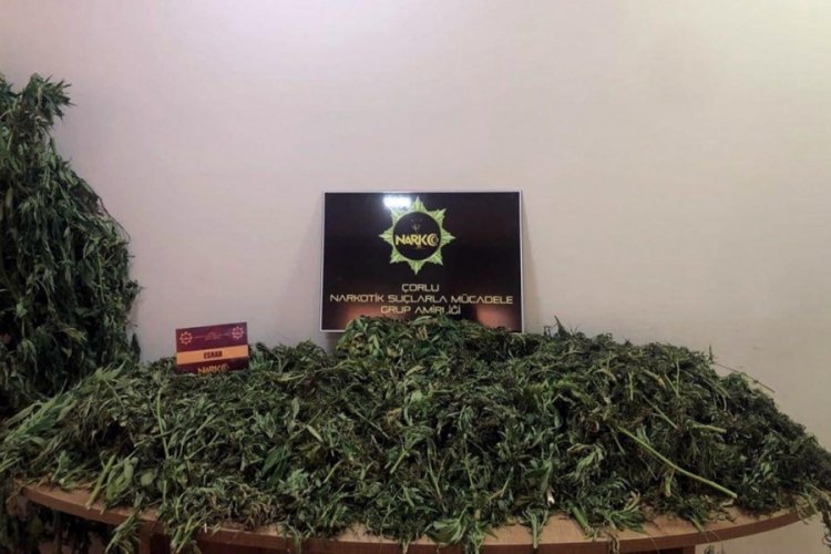 Tekirdağ'da &ccedil;iftlik operasyonu! 2 kişi tutuklandı