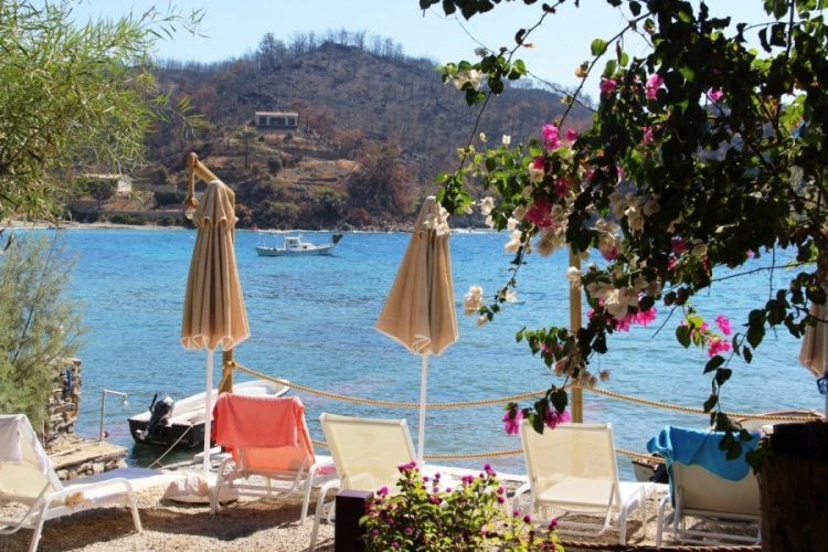 Muğla Bodrum'daki yangının ardından yaralar sarılmaya devam ediyor