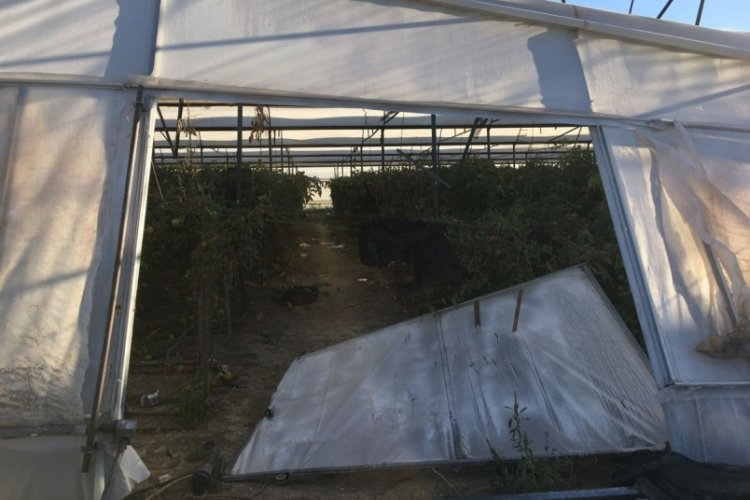 Antalya'da hortum seraları yerle bir etti