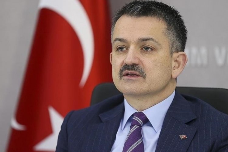 Tarım ve Orman Bakanı Pakdemirli: Her yıl 19 milyon ton gıda israf oluyor