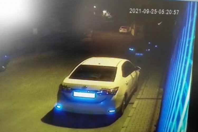 İstanbul Arnavutk&ouml;y'de &ouml;r&uuml;mcek adam gibi tırmandı, telefonu &ccedil;alıp kayıplara karıştı