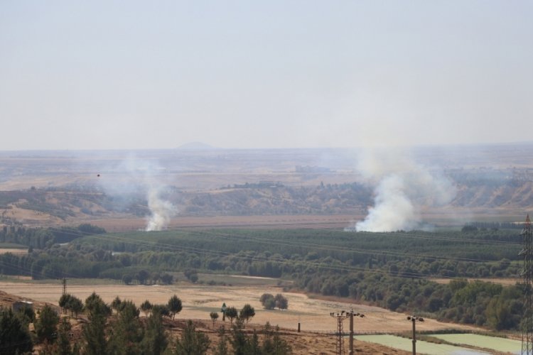 Diyarbakır'da tarihi Hevsel Bah&ccedil;eleri'nde yangın