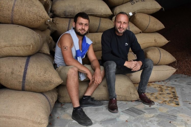 Fındıkların i&ccedil;erisinde y&uuml;zen şahıslardan a&ccedil;ıklama geldi!