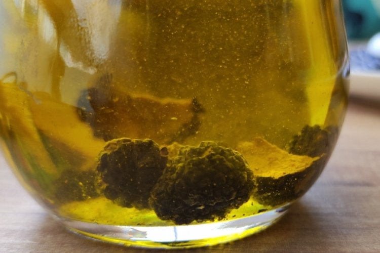 Bursa'ya gelen Alman akademisyen tr&uuml;f mantarı uzmanı yetiştiriyor