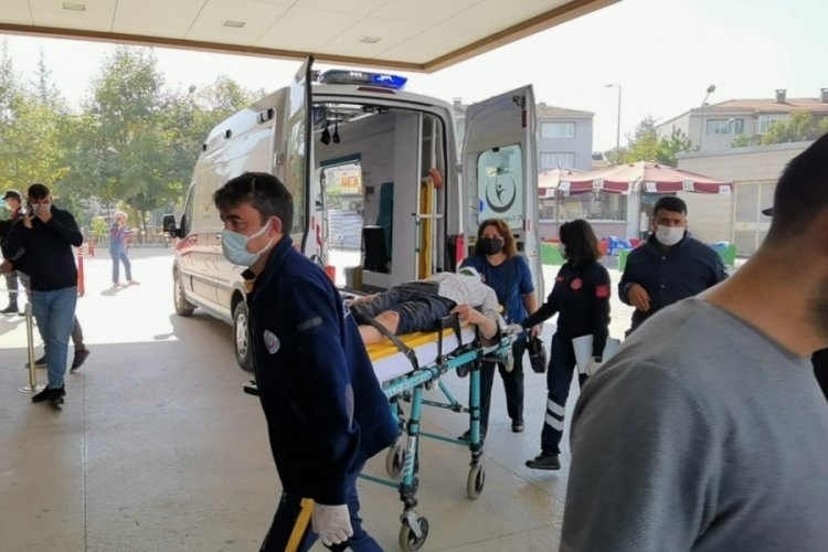 Bursa'da ceviz ağacından d&uuml;şen yaşlı adam ağır yaralandı