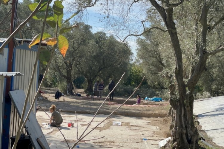 Bursa İznik'te sit alanı ilan edilen zeytinlikte lahit bulundu