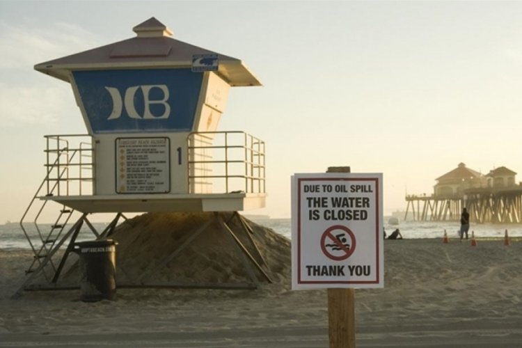 California'da petrol sızıntısı deniz yaşamını tehdit ediyor