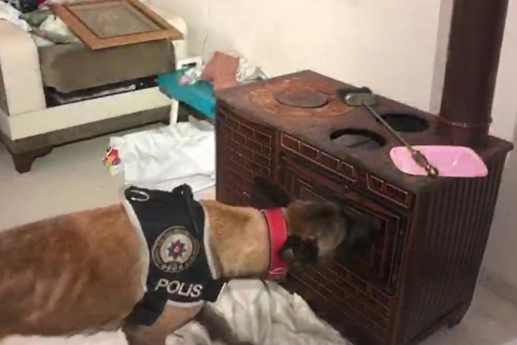 Kocaeli'de evin her yerinden uyuşturucu &ccedil;ıktı