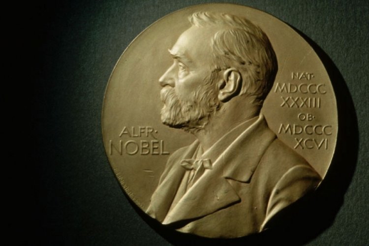 2021 Nobel Tıp &Ouml;d&uuml;l&uuml;'n&uuml;n kazananları a&ccedil;ıklandı