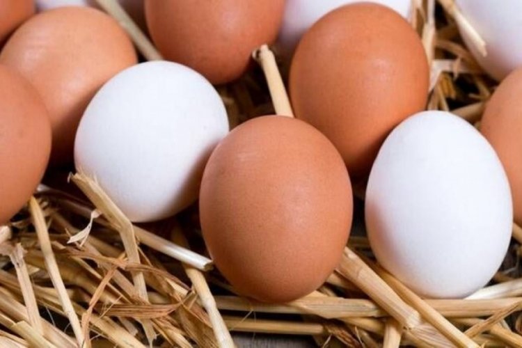 Yumurta &Uuml;reticileri Merkez Birliği Başkanı Afyon: Maliyetine satıyoruz