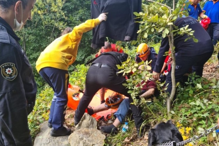 Bursa'da ormanda kaybolan yaşlı adam y&uuml;r&uuml;y&uuml;şe &ccedil;ıkan kişinin k&ouml;peği sayesinde bulundu