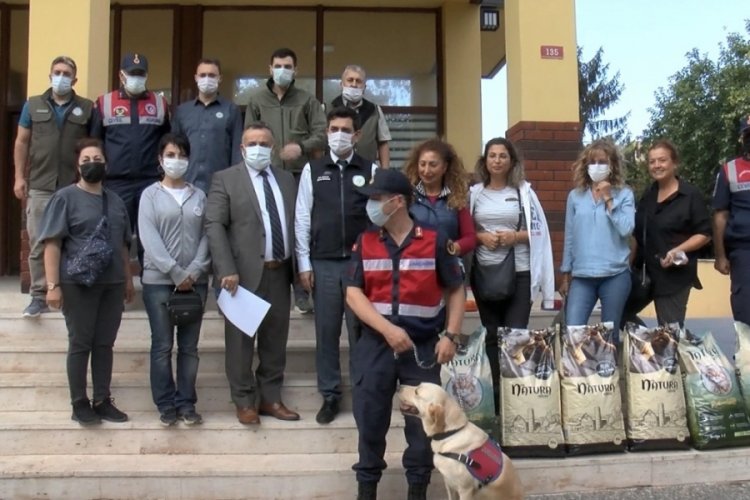 Bursa'da sokak hayvanları a&ccedil; kalmayacak