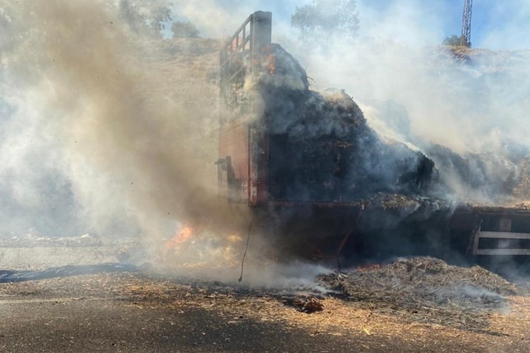 Seyir halindeki TIR'da &ccedil;ıkan yangın ağa&ccedil;lık alana sı&ccedil;radı