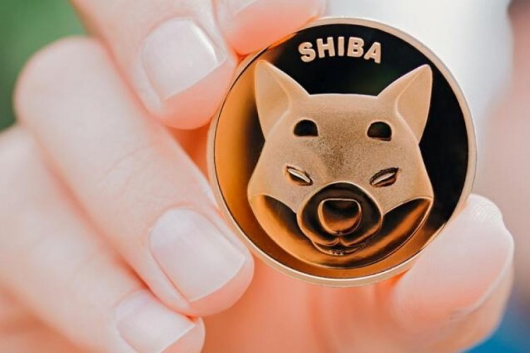 Kripto para birimi Shiba Coin'de b&uuml;y&uuml;k y&uuml;kseliş hareketi