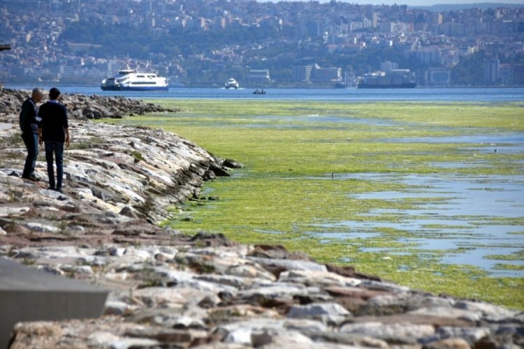 İzmir'de feci g&ouml;r&uuml;nt&uuml;! Deniz yeşile b&uuml;r&uuml;nd&uuml;