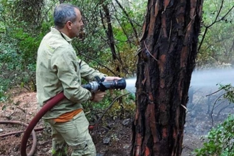 İzmir'de orman yangınının ardından bir şahıs kolonya ve &ccedil;akmakla yakalandı