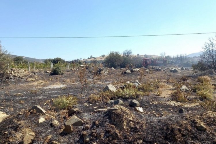 Manisa'da ormanı yakmaya &ccedil;alışan kişi g&ouml;zaltına alındı