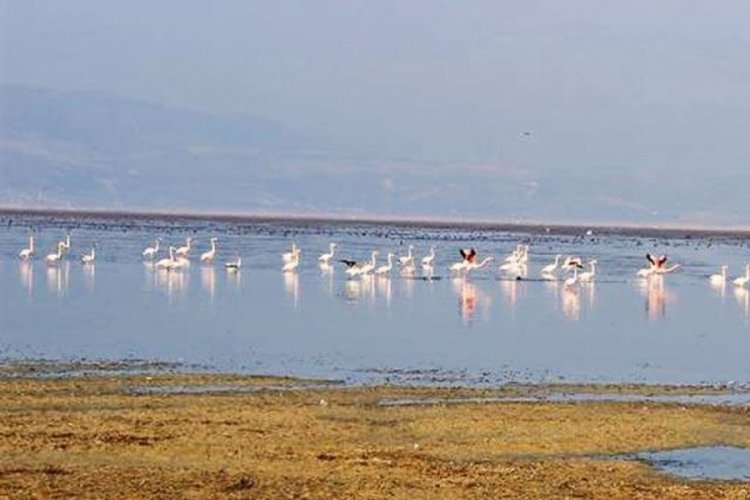 Kuruyan Marmara G&ouml;l&uuml;'ne barajdan su verilecek