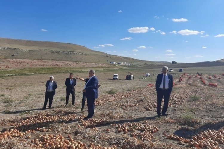 CHP'li vekiller, soğan &uuml;reticileriyle g&ouml;r&uuml;şt&uuml;