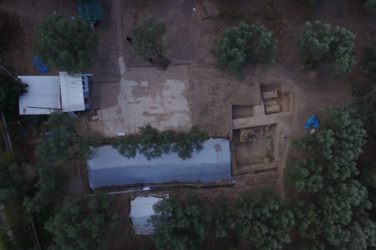 Bursa İznik'te bir bazilika da zeytinlikte bulundu