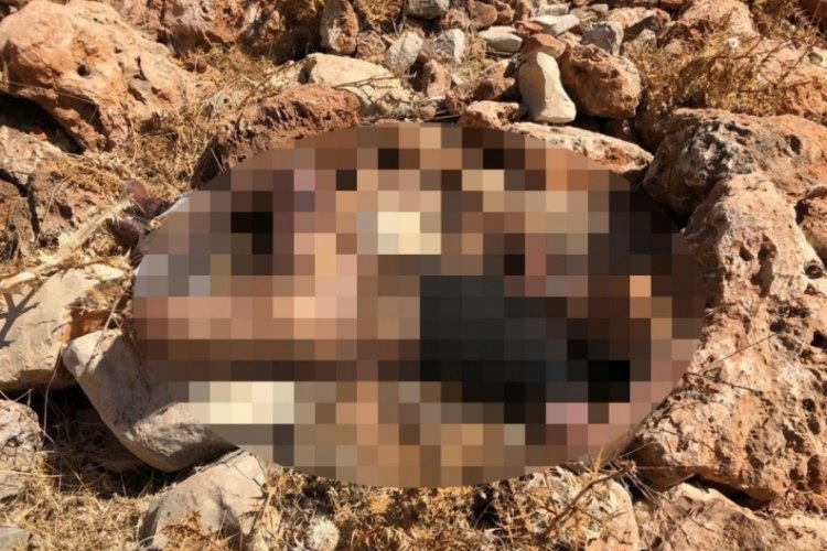 Mardin Kızıltepe'de yakılarak &ouml;ld&uuml;r&uuml;lm&uuml;ş erkek cesedi bulundu