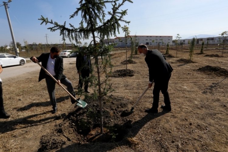 Bursa'da 154 fidan toprakla buluştu