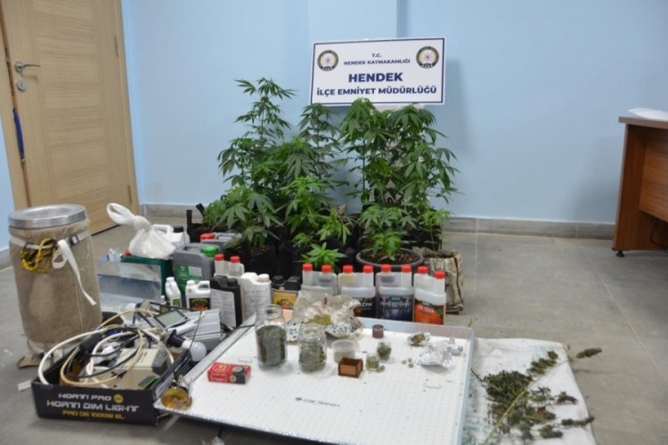 Evinde kurduğu serada kenevir yetiştiren kişi g&ouml;zaltına alındı