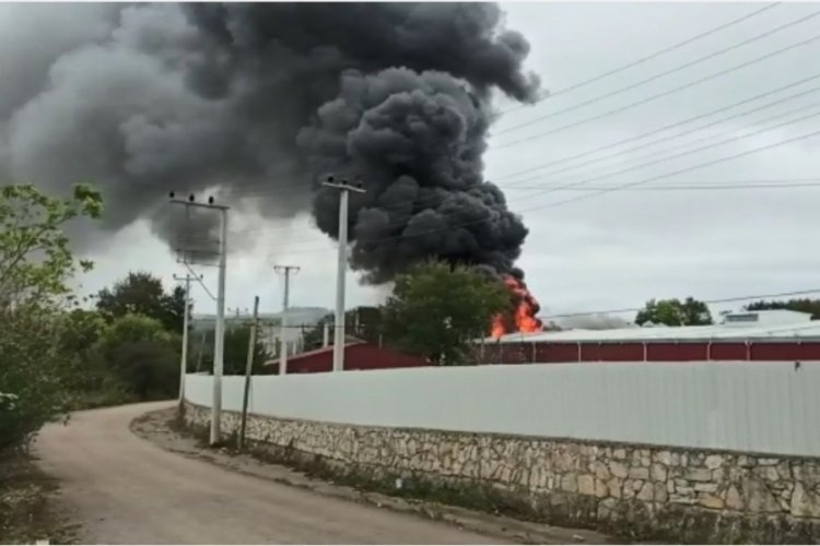 Kocaeli'de yağ fabrikasında yangın meydana geldi
