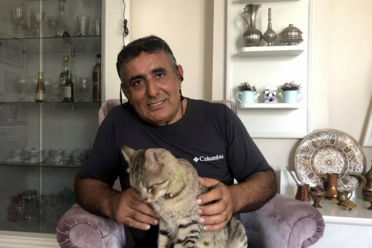 İzmir'de 2 pitbull, saldırdıkları köpeği öldürdü, sahibi ve kedisini yaraladı