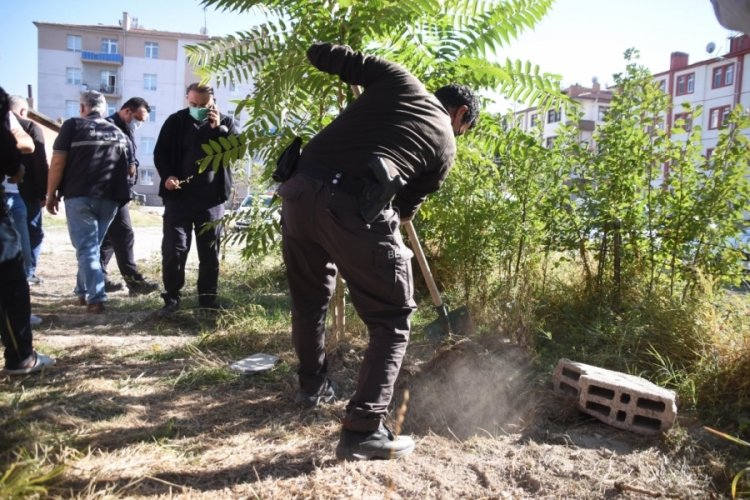 Ceset ihbarıyla kazılan &ccedil;ukurdan k&ouml;pek &ouml;l&uuml;s&uuml; &ccedil;ıktı