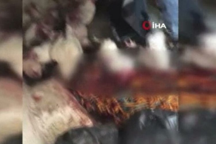 İstanbul'da tepki &ccedil;eken tavuk satışı! Aracın i&ccedil;inde boğazlayıp poşetliyorlar