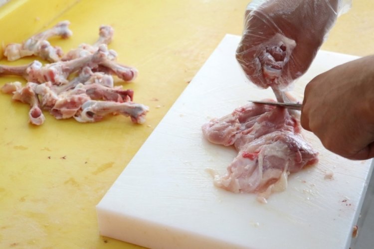 Tavuk eti üretimi yüzde 22,9 yükseldi