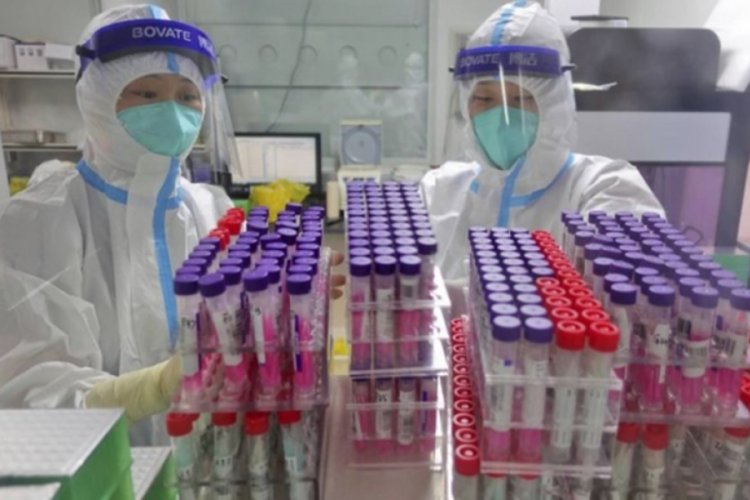 Çin, koronavirüsün kökeninin belirlenmesi amacıyla Wuhan'daki binlerce kan örneğini test edecek