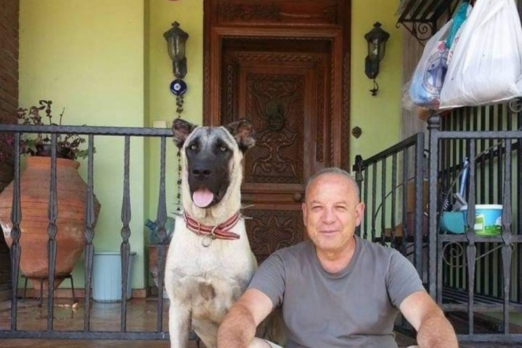 Balıkesir'de k&ouml;peği &ouml;ld&uuml;ren &ccedil;obana para cezası