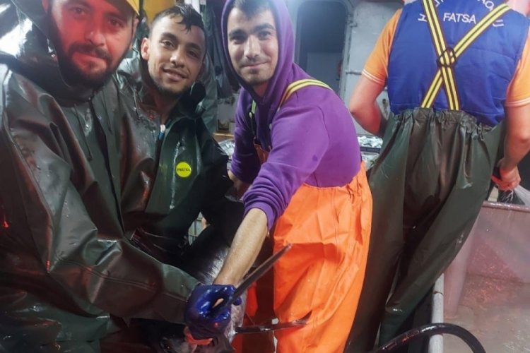 İstanbul'da balık&ccedil;ıların ağına kılı&ccedil; balığı takıldı