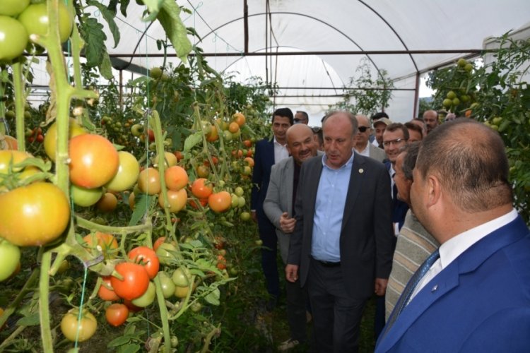 Muharrem İnce: İktidar da kandırıyor, muhalefet de