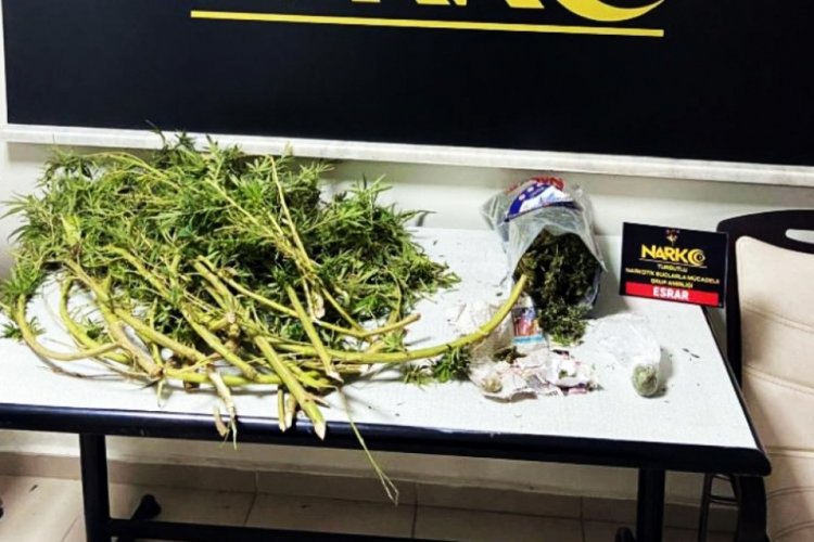 Manisa'da esrar ve kenevirle yakalandı, tutuklandı