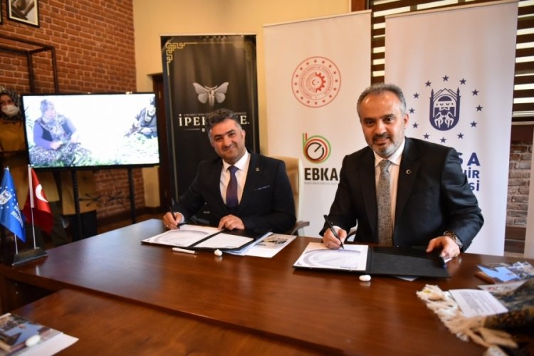Bursa ipeğine can verecek yeni proje
