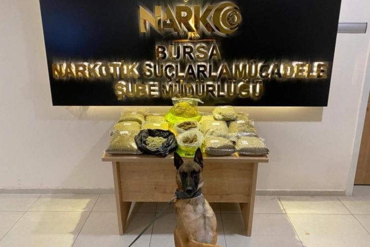 Bursa'da "Fırtına" fırtına estiriyor