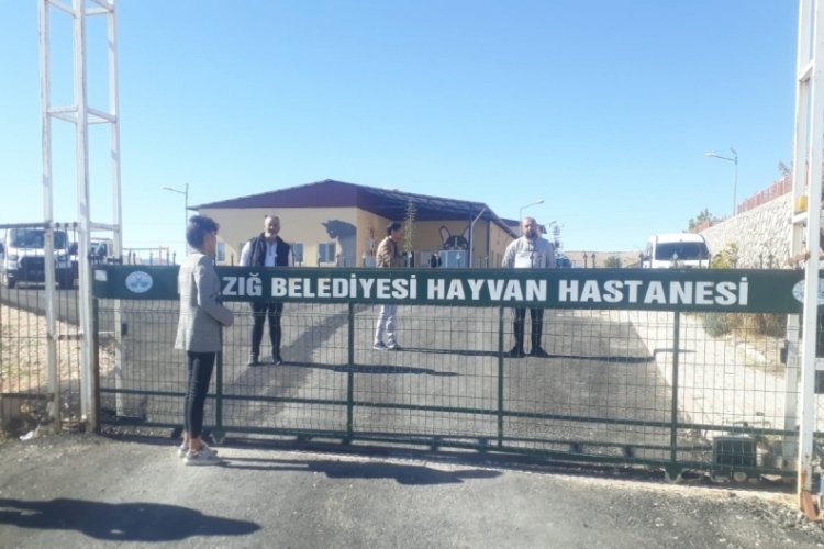 Elazığ'da hayvanlara k&ouml;t&uuml; muamele eden 5 kişi hakim karşısında